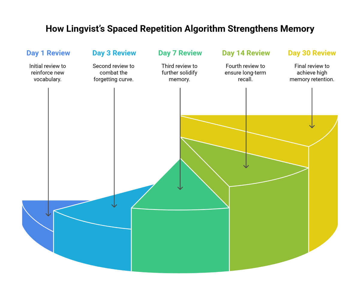 How Lingvists Spaced Repetition Algorithm Strengthens Memory How Lingvists Spaced Repetition Algorithm Strengthens Memory